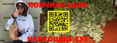 шишки Гусиноозёрск