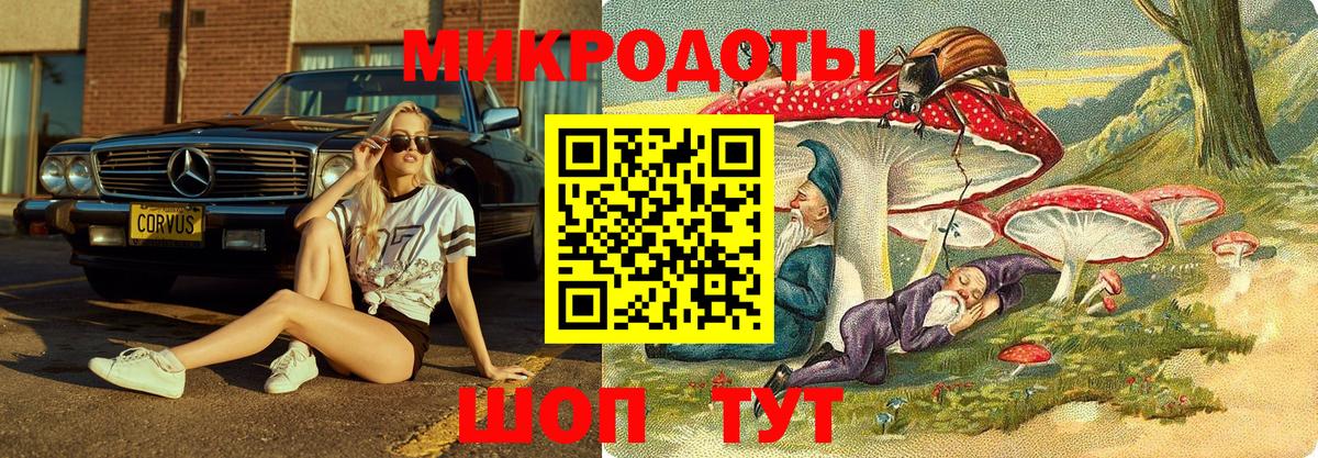Малгобек  продажа наркотиков  Вход с VPN  Галлюциногенные грибы ЛСД 
